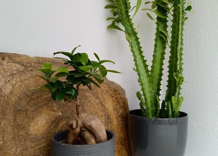 빌라 The Tefra By A Terre Cave