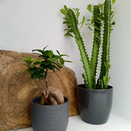 别墅 The Tefra By A Terre Cave